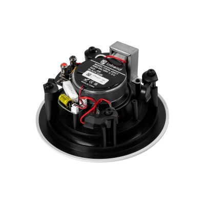 Акустическая система ITSPK-420CT