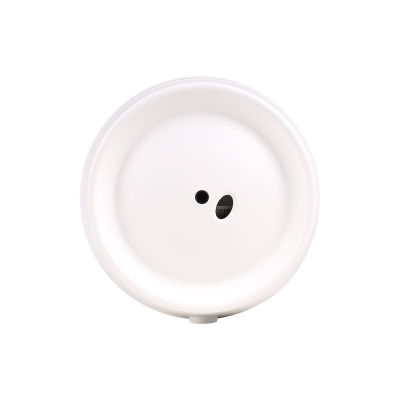 Акустическая система ITSPK-550PT-W