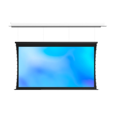 Встраиваемый экран с электроприводом Master Recessed Wire Control