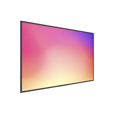 Профессиональный дисплей LB5535SDG2