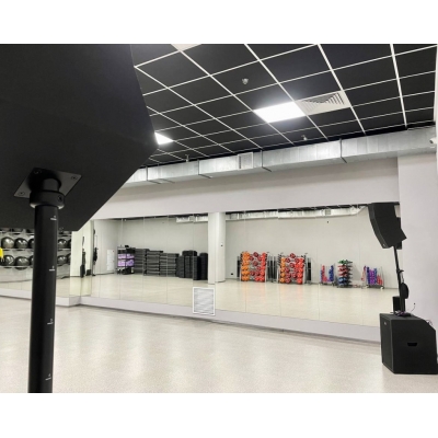 Пассивный двухполосный вертикальный линейный массив CORE LINE 121