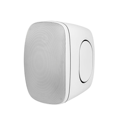 Всепогодная двухполосная акустическая система BRAVO-530TW