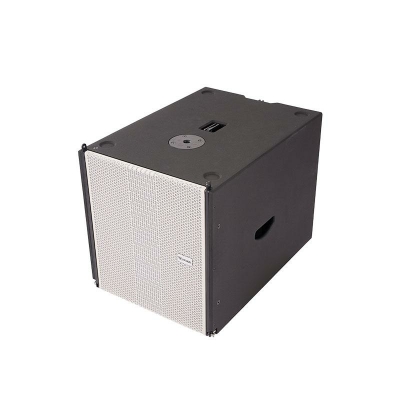 Активный сабвуфер с DSP, элемент линейного массива