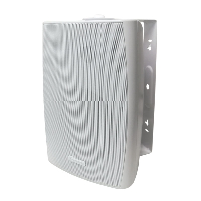 Двухполосная трансляционная пассивная акустическая система