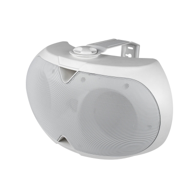 Настенный двухполосный громкоговоритель