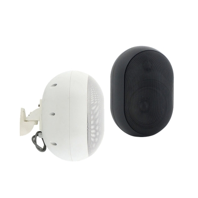 Настенный двухполосный громкоговоритель