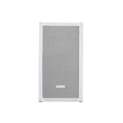 Всепогодная двухполосная звуковая колонна OS-10T