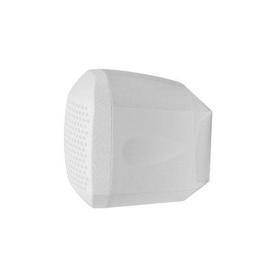 Настенный двухполосный громкоговоритель