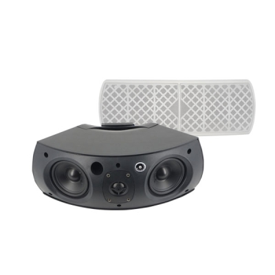 Настенный двухполосный громкоговоритель DELTA-W