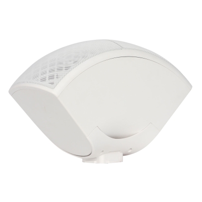 Настенный двухполосный громкоговоритель DELTA-W