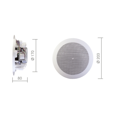 Потолочный трансляционный громкоговоритель CSL-10T