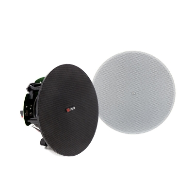 Потолочный двухполосный громкоговоритель VSL-630T