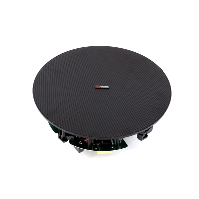 Потолочный двухполосный громкоговоритель