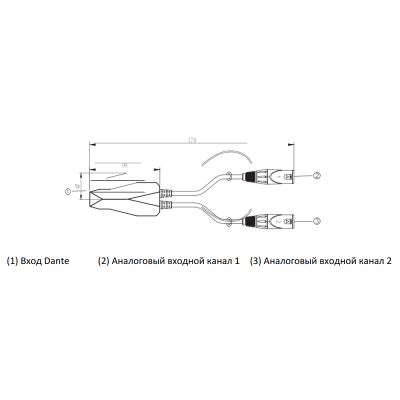 Аудиоконвертер аналог/Dante DIO IN