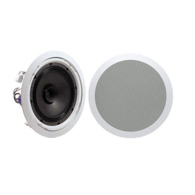 Потолочный широкополосный громкоговоритель