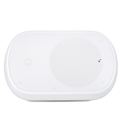 Всепогодная двухполосная акустическая система RT PARK 8T White