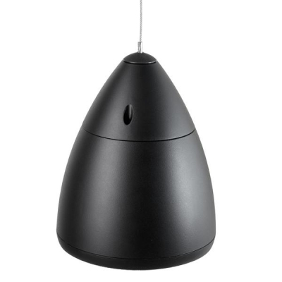 RT Campana 4 Black Подвесная двухполосная акустическая система