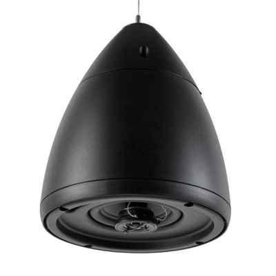 Подвесная двухполосная акустическая система RT Campana 4 Black