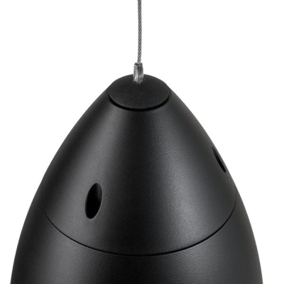 Подвесная двухполосная акустическая система RT Campana 4 Black