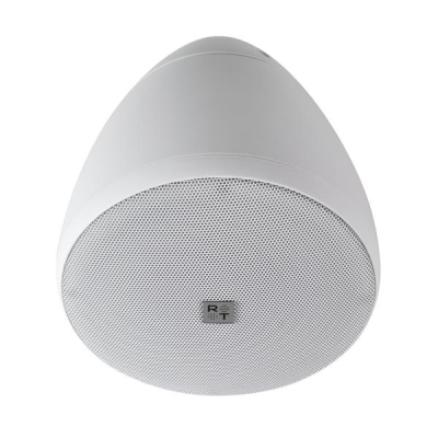 RT Campana 4 White Подвесная двухполосная акустическая система