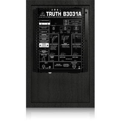 Студийный монитор TRUTH B3031A