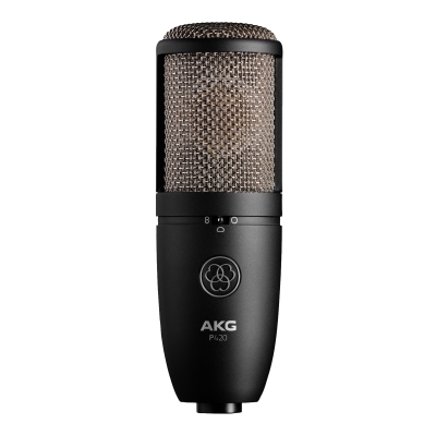 P420 Студийный микрофон