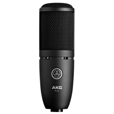 P120 Студийный микрофон