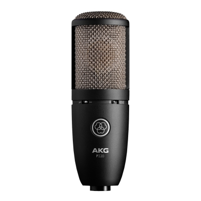 P220 Студийный микрофон